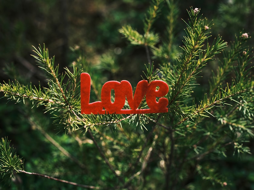 Meet the Cast of Growing Love